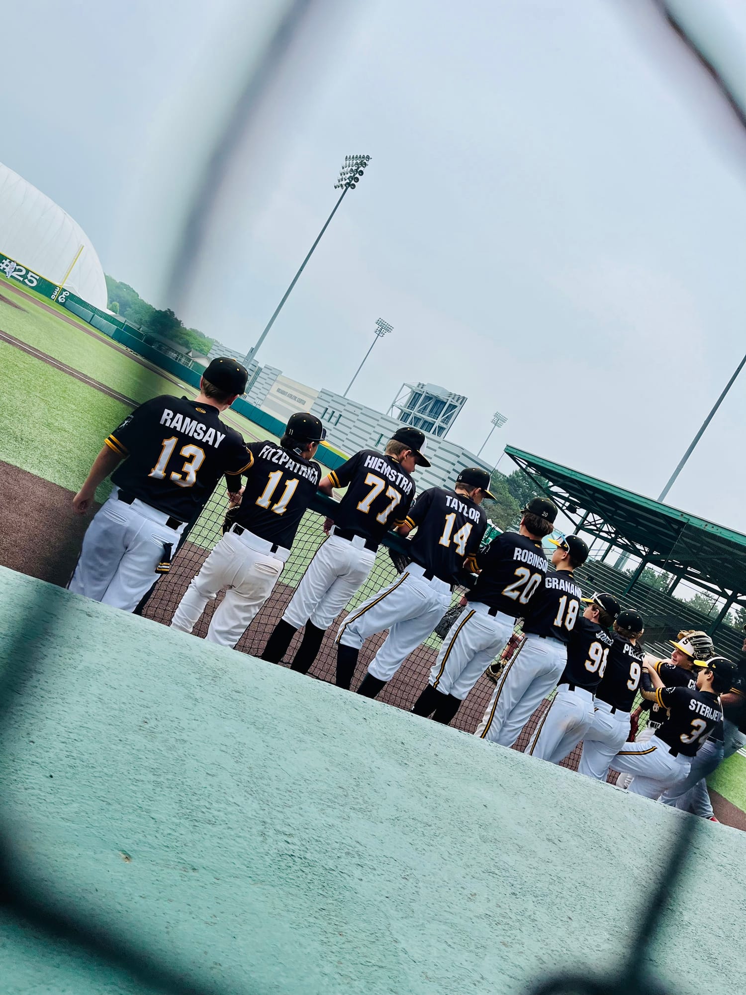stingers
